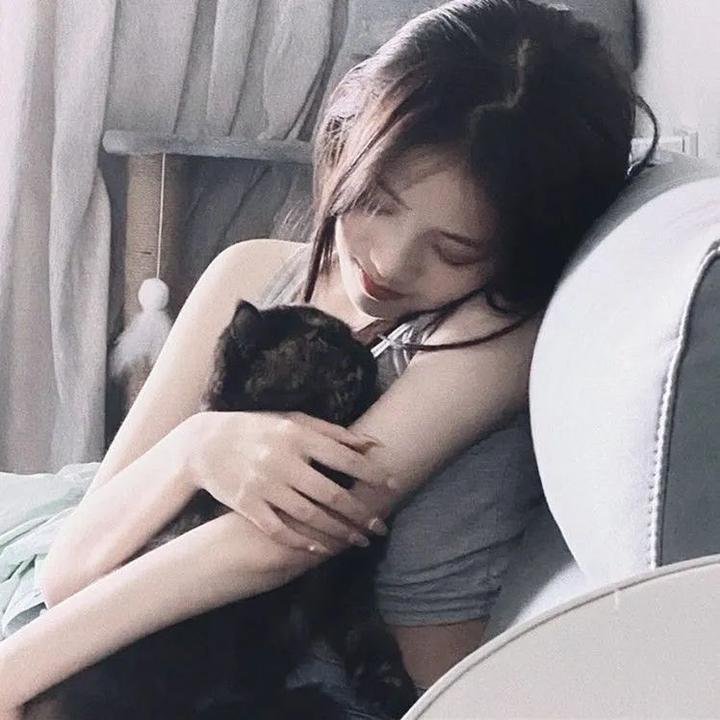 洛奇6